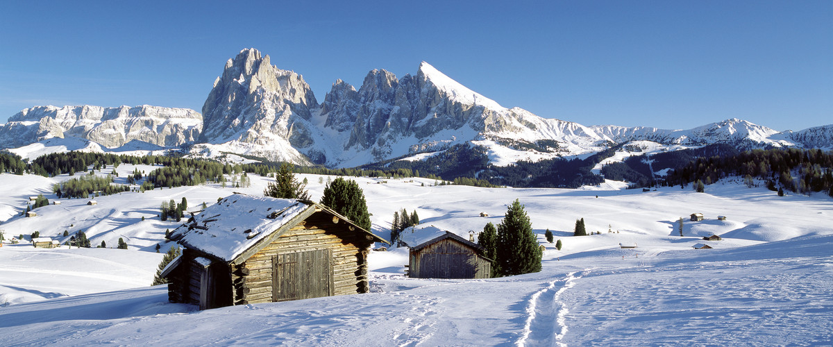 Sassolungo Alpe di Siusi (foto: IDM Alto Adige Clemens Zahn)