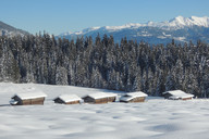 Narty w Laax Szwajcaria (foto: G. Waleczek)