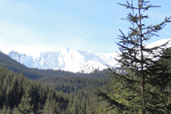 Kasprowy Wierch- ferie- zielony las a w górach śnieg