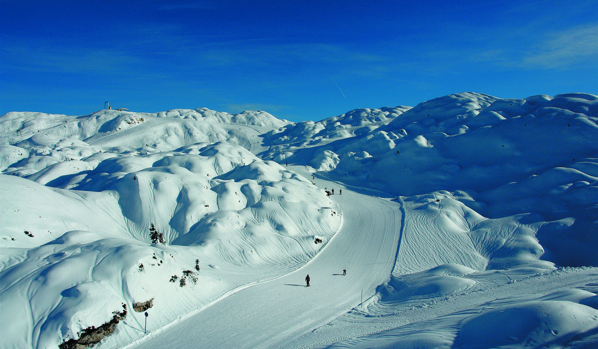 Vogel (foto: Bogdan Kladnik)