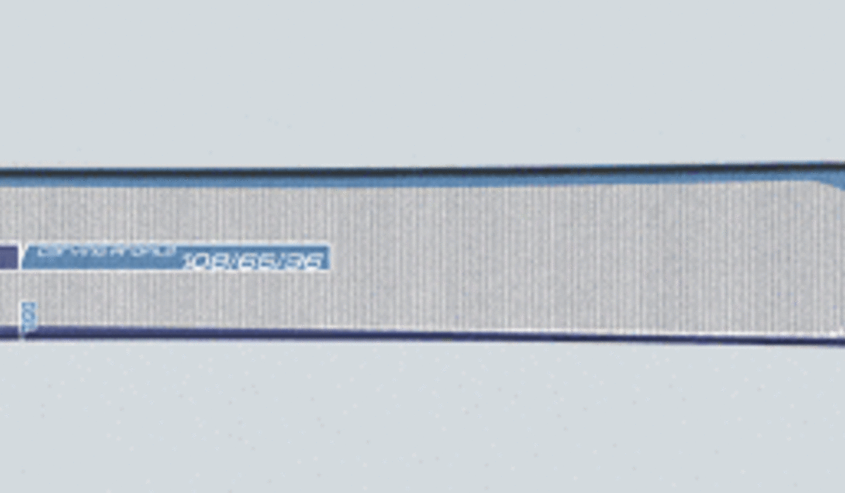 Spider (foto: Sporten)