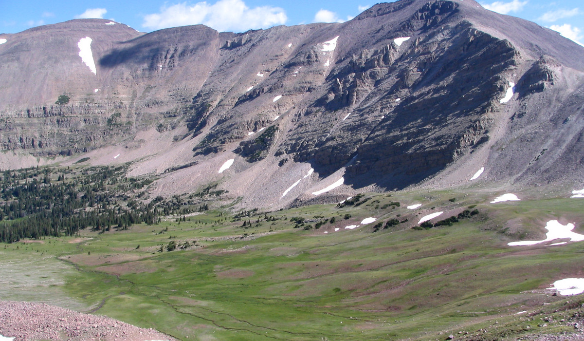 źródło: US Forest Service domena publiczna