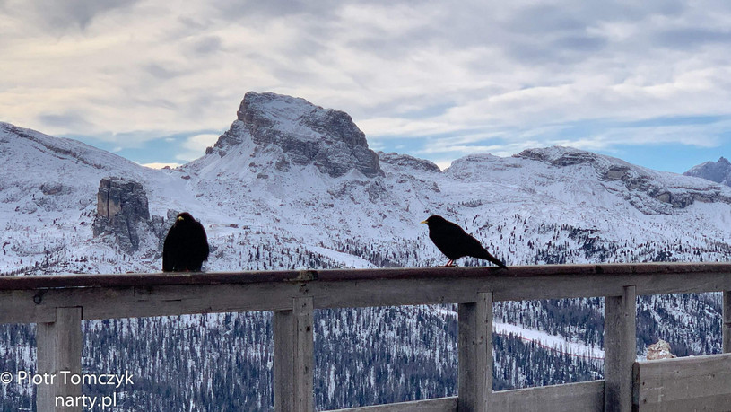 Cortina d`Ampezzo schronisko na Pomedes / fot. P. Tomczyk