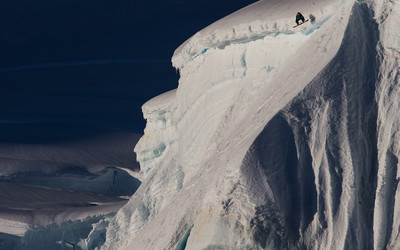 źródło: BackStylers 2013