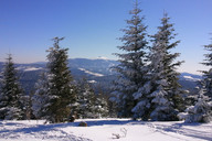 Pilsko- Korbielów- las