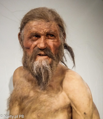 Ötzi - rekonstrukcja wyglądu (foto: PB Narty.pl)