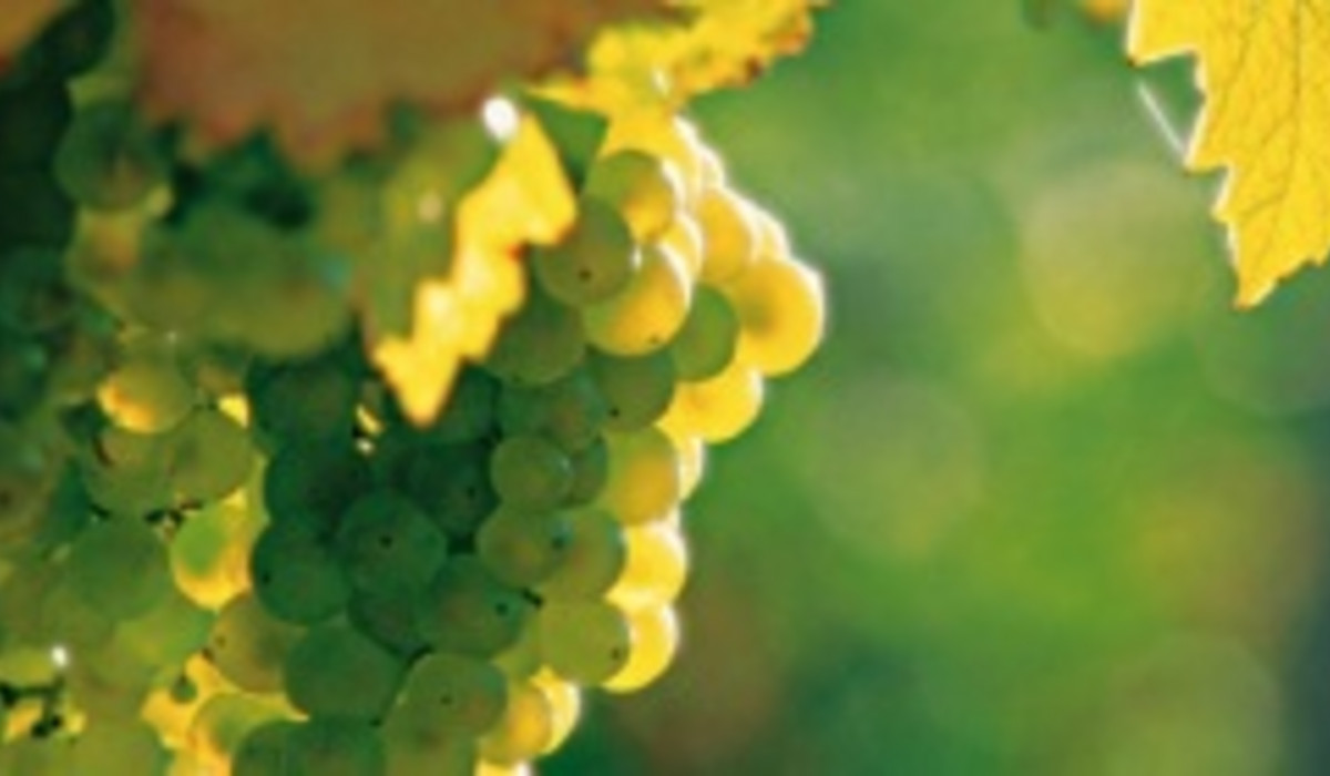 (foto: austria.info)