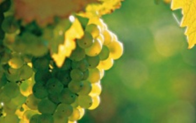 (foto: austria.info)