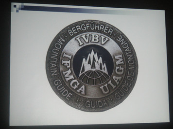 Odznana stowarzyszenia IVBV (foto: Michał Nowak)