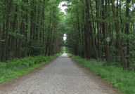 W drodze do Miasteczka Śląskiego