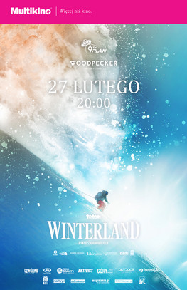 Winterland - polski plakat
