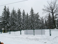 Szczyrk - Małe Skrzyczne- drzewa