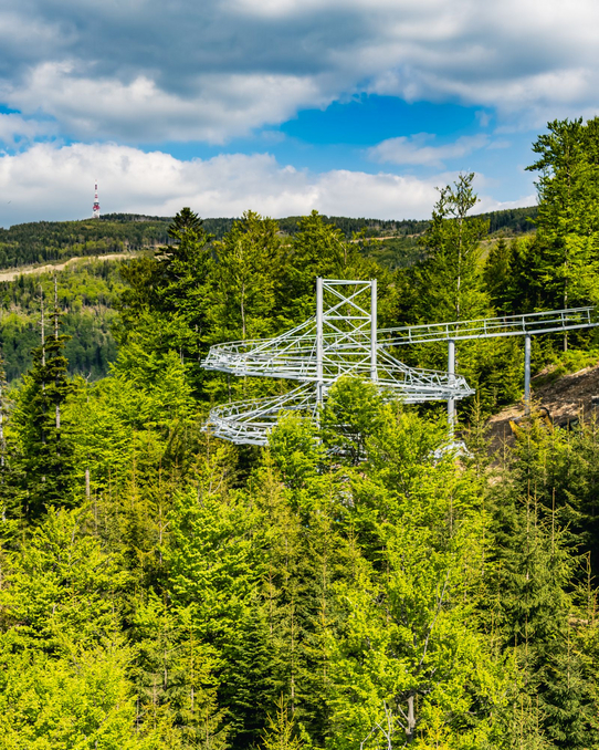Salamandra Alpine Coaster – budowa toru grawitacyjnego nad szczyrkowskim lasem Tor kolejki grawitacyjnej Salamandra Alpine Coaster wśród lasu w Szczyrku – widok od strony Skrzycznego