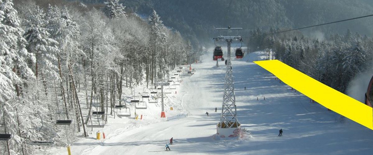 Trenuj slalom w Jaworzynie (foto: jaworzynakrynicka.pl)