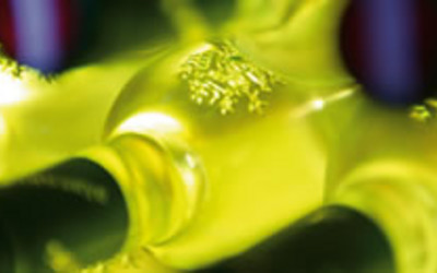 (foto: austria.info)