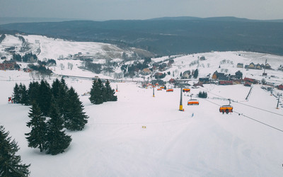 Zieleniec na wielkanoc (foto: materiały prasowe)