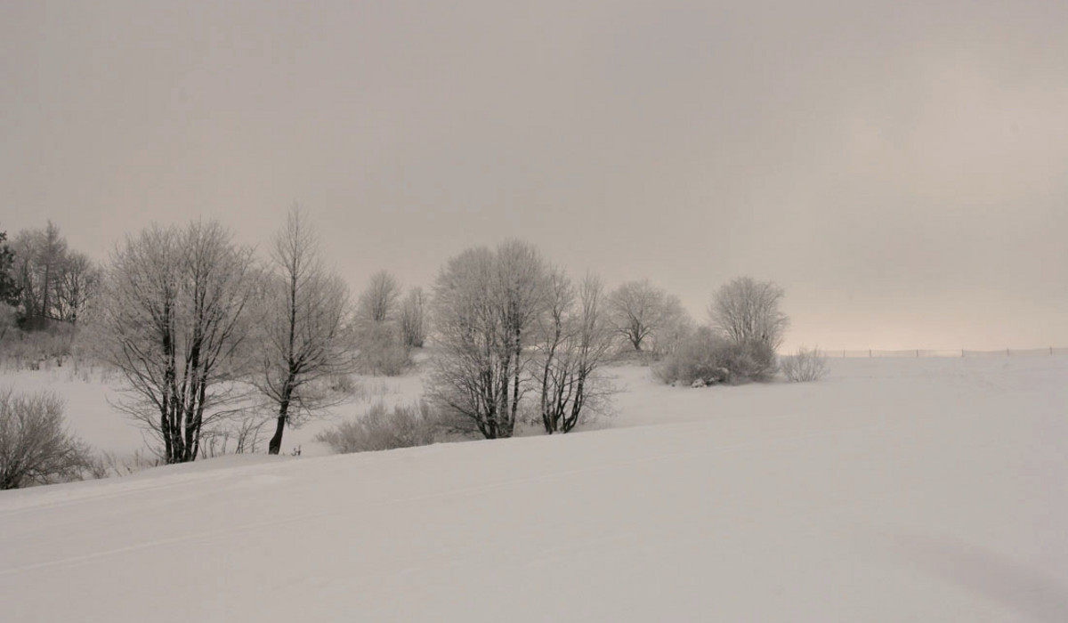 Pszczyna - Krajobraz (foto: narty.pl)