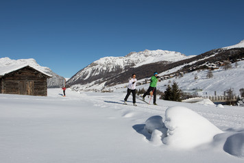 Fabryka czerwonych krwinek - biegówki w Livigno (foto: R. Trab) Fabryka czerwonych krwinek - biegówki w Livigno (foto: R. Trab)