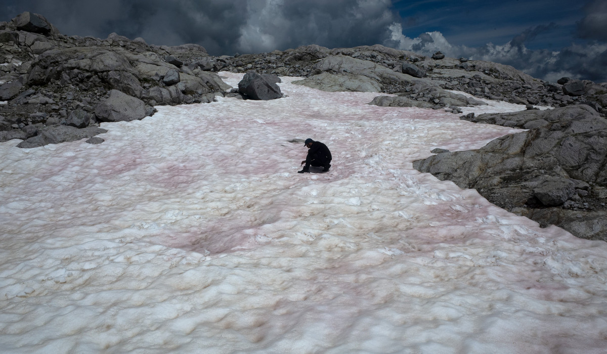 Lodowiec Presena (foto:  Biagio Di Mauro @DiMauro_b Twitter)