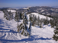 Pilsko- Korbielów- freeride 2