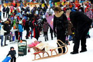 Słowacja - śnieżne psy- sanki