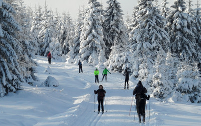 Dawne gwiazdy szkolą amatorów (foto: nabiegowkach.pl)