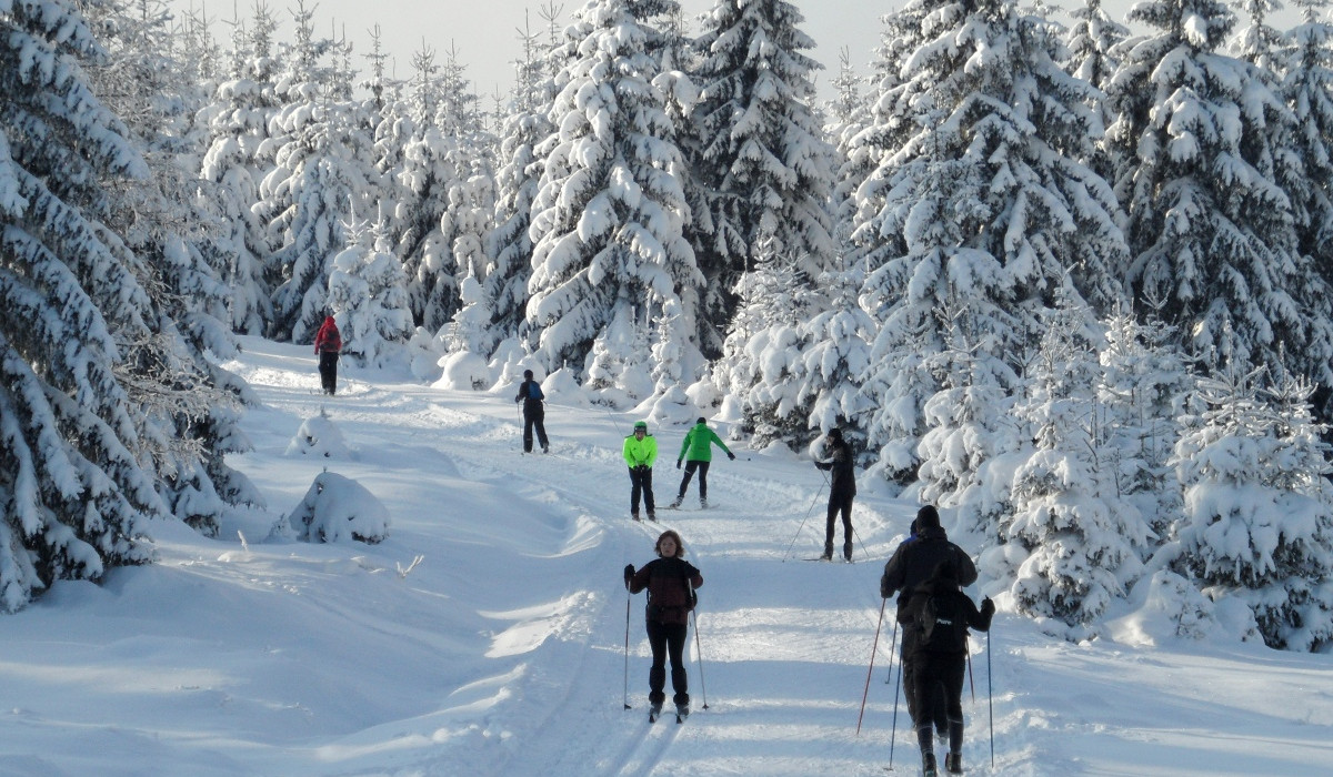 Dawne gwiazdy szkolą amatorów (foto: nabiegowkach.pl)