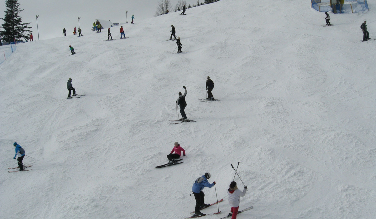 Polana Szymoszkowa - Zakopane (foto: M. Nowak) Polana Szymoszkowa - Zakopane (foto: M. Nowak)