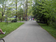 JESTEŚMY JUŻ W PARKU PSZCZYŃSKIM.