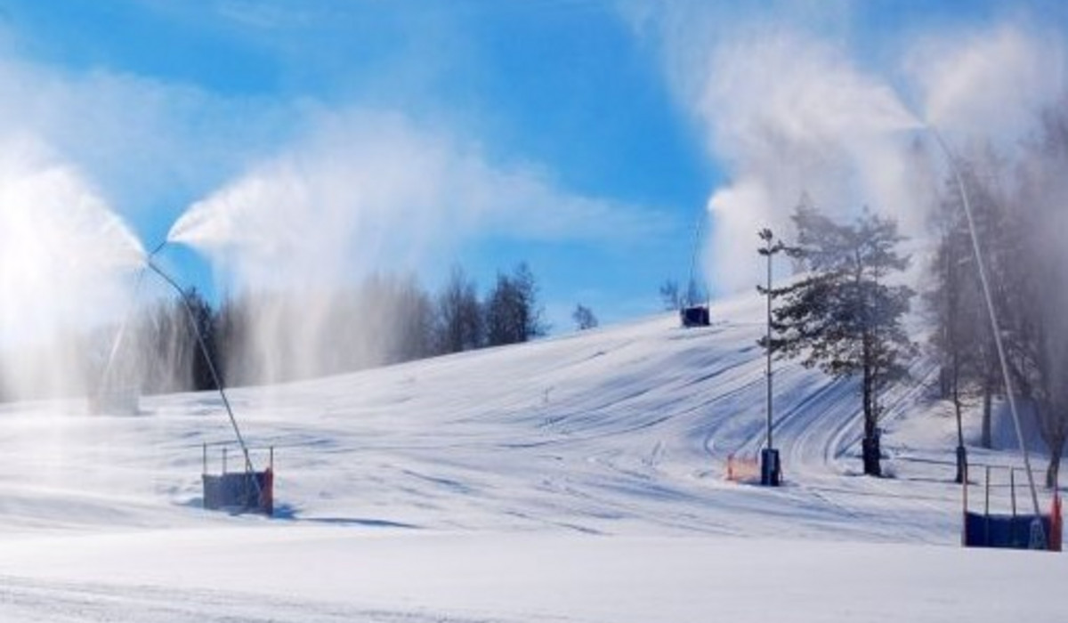 (foto: www.kiczerapulawy.pl)