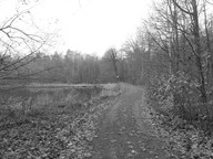 Trasa biegnie obok jeziorka