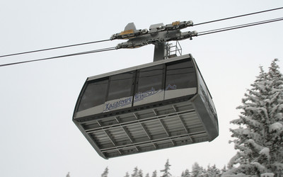 (źródło: wikipedia.pl)