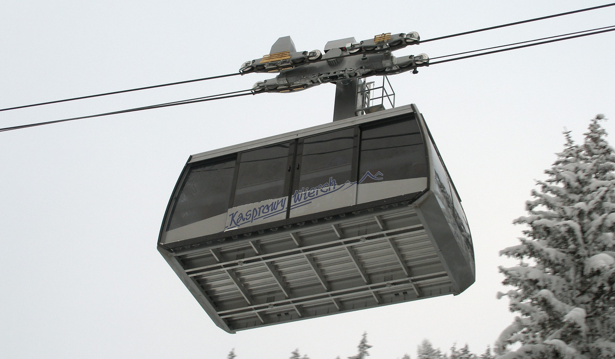 (źródło: wikipedia.pl)