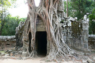 Kambodża 14