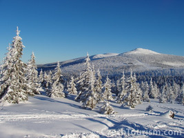 Widok na góry (foto: zima.czechtourism.com)
