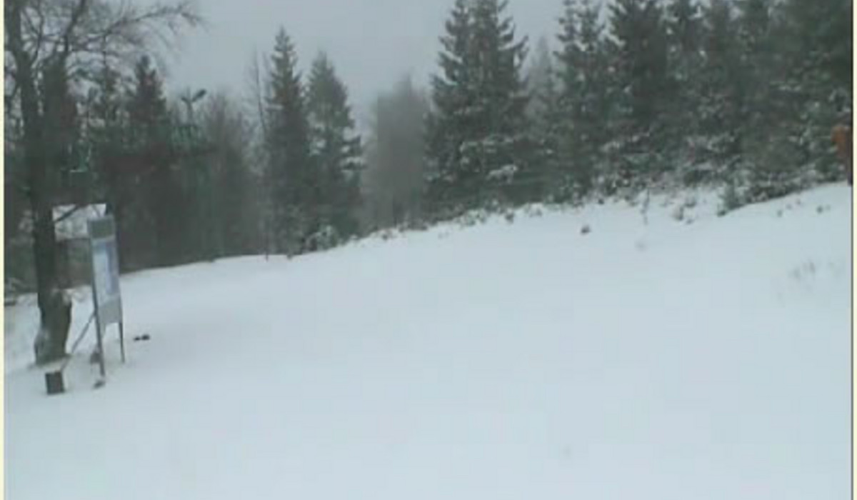 Hala Skrzyczeńska (kamera: gat.pl)