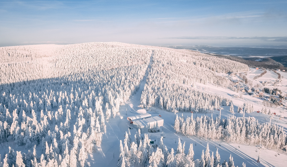Zieleniec (foto: mat.prasowe)