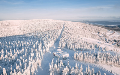 Zieleniec (foto: mat.prasowe)