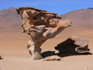 Bolivia Altiplano 10