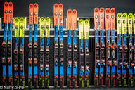 Voelkl RACETIGER 2017/18 (foto: PB Narty.pl) Voelkl RACETIGER 2017/18 (foto: PB Narty.pl)