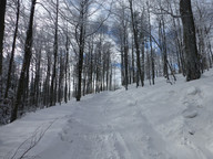 Pod szczytem Szyndzielni