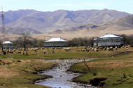Mongolian rest houses