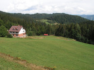 Domek wśród zieleni