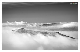 Szrenica (foto: Daniel Koszela)