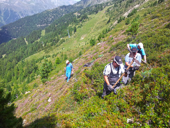 Silvrettaseilbahn AG zalesia tereny w Peru i sadzi lokalne lasy w Panzaun (foto: ©TVB Paznaun - Ischgl)