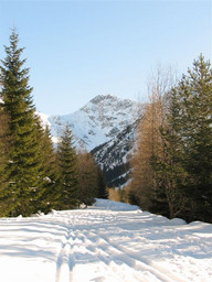 WIDOK NA OSTRY ROHAC - DAŁ NAZWĘ TEJ DOLINIE.