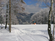 Rzyki - Czarny Gron -  stok za drzewami 2