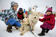 Słowacja - śnieżne psy- miśki