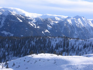 Wszędzie bialutko 1