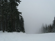 Szczyrk - Małe Skrzyczne - miedzy drzewami 5